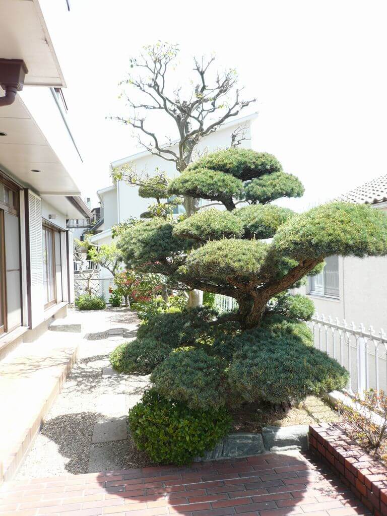 【中古物件】兵庫県宝塚市仁川高丸１丁目
